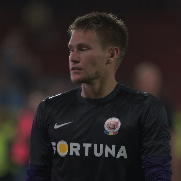 Tomáš Vaclík