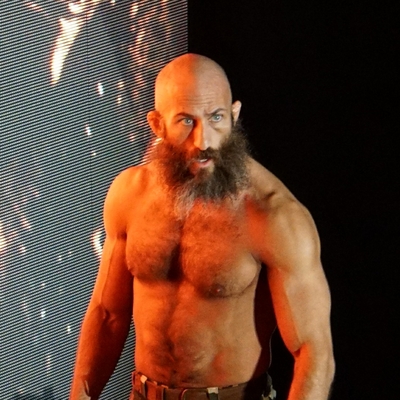 Tommaso Ciampa Autograph Profile