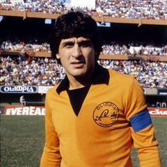 Ubaldo Fillol