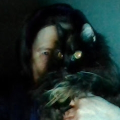 Rigel Ailur