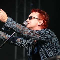 Wayne Hussey