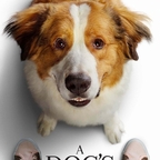 A Dog's Journey