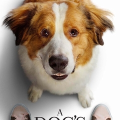 A Dog's Journey