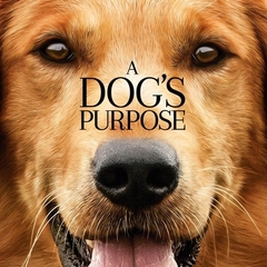 A Dog's Purpose