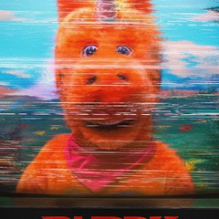 Buddy