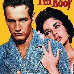 Cat on a Hot Tin Roof