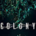 Colony