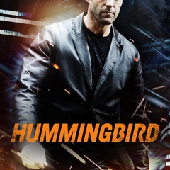 Hummingbird