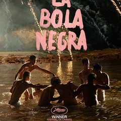 La bola negra