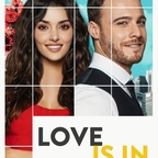 Love Is in the Air