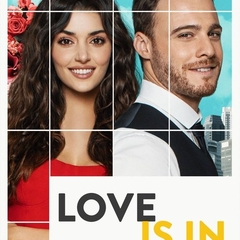 Love Is in the Air