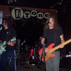 Meat Puppets