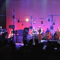 Modest Mouse
