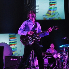 Pulp