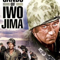 Sands Of Iwo Jima