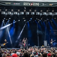 The Struts