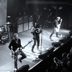 The Cult
