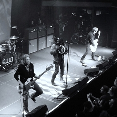 The Cult