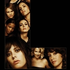 The L Word
