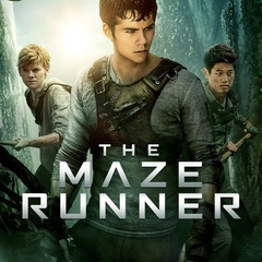 The Maze Runner