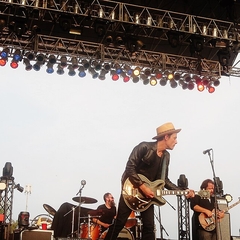 The Wallflowers