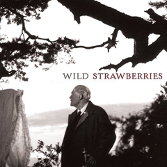 Wild Strawberries