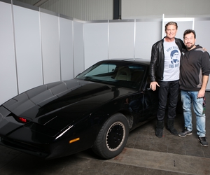 David Hasselhoff David Hasselhoff