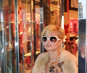 Paris Hilton Paris Hilton