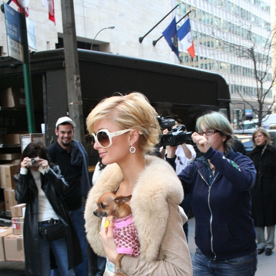 Paris Hilton Paris Hilton
