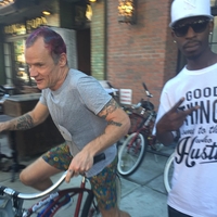 Flea