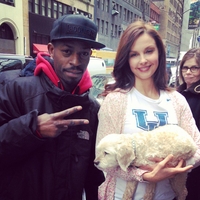 Ashley Judd