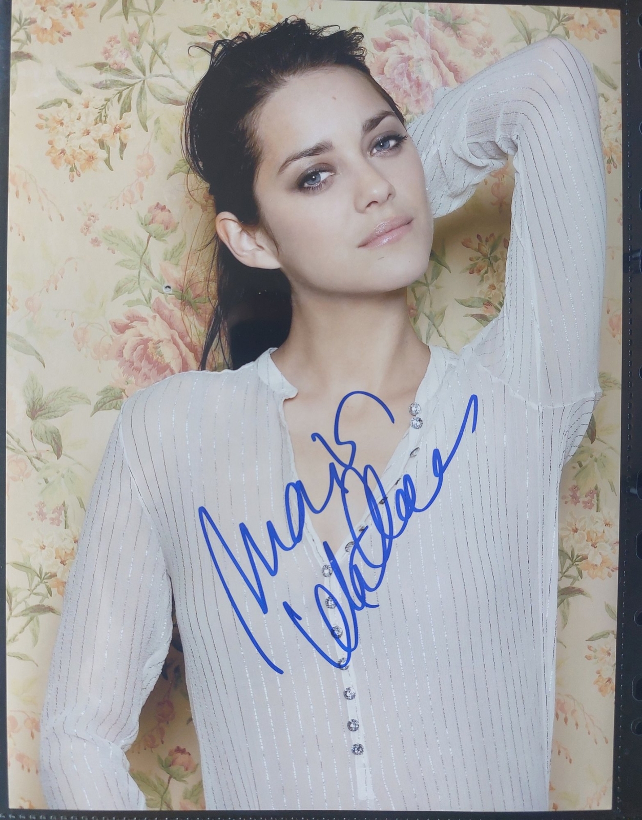 Marion Cotillard signed item