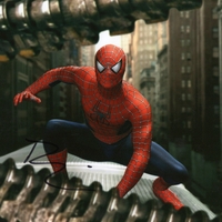 Tobey Maguire signed item