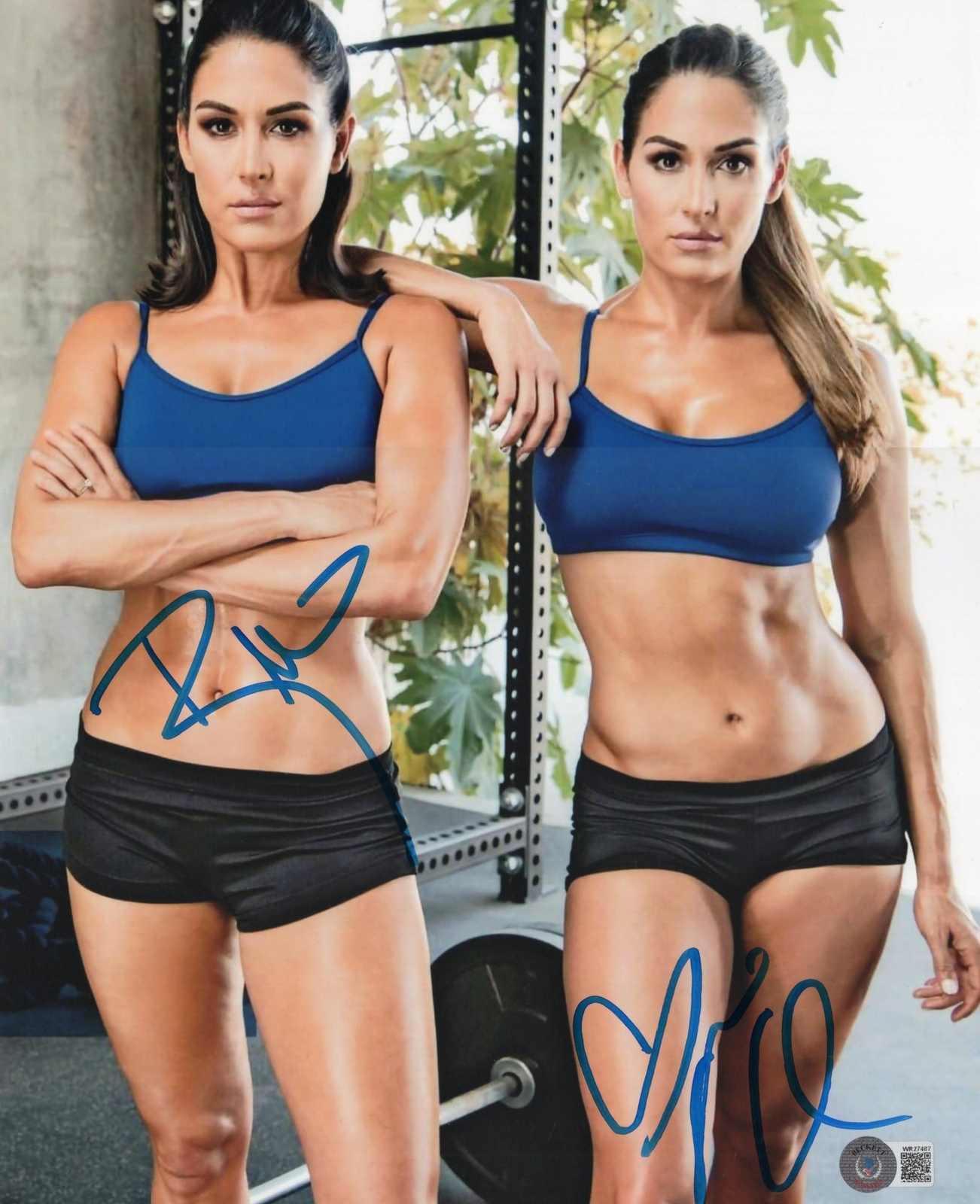 Nikki Bella & Brie Bella