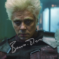 Benicio del Toro signed item