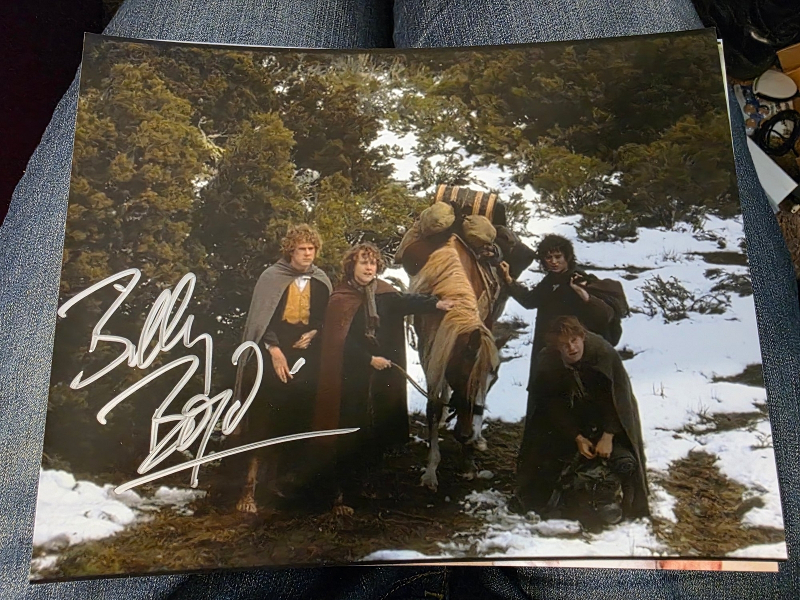 Billy Boyd signed 8x10 photo