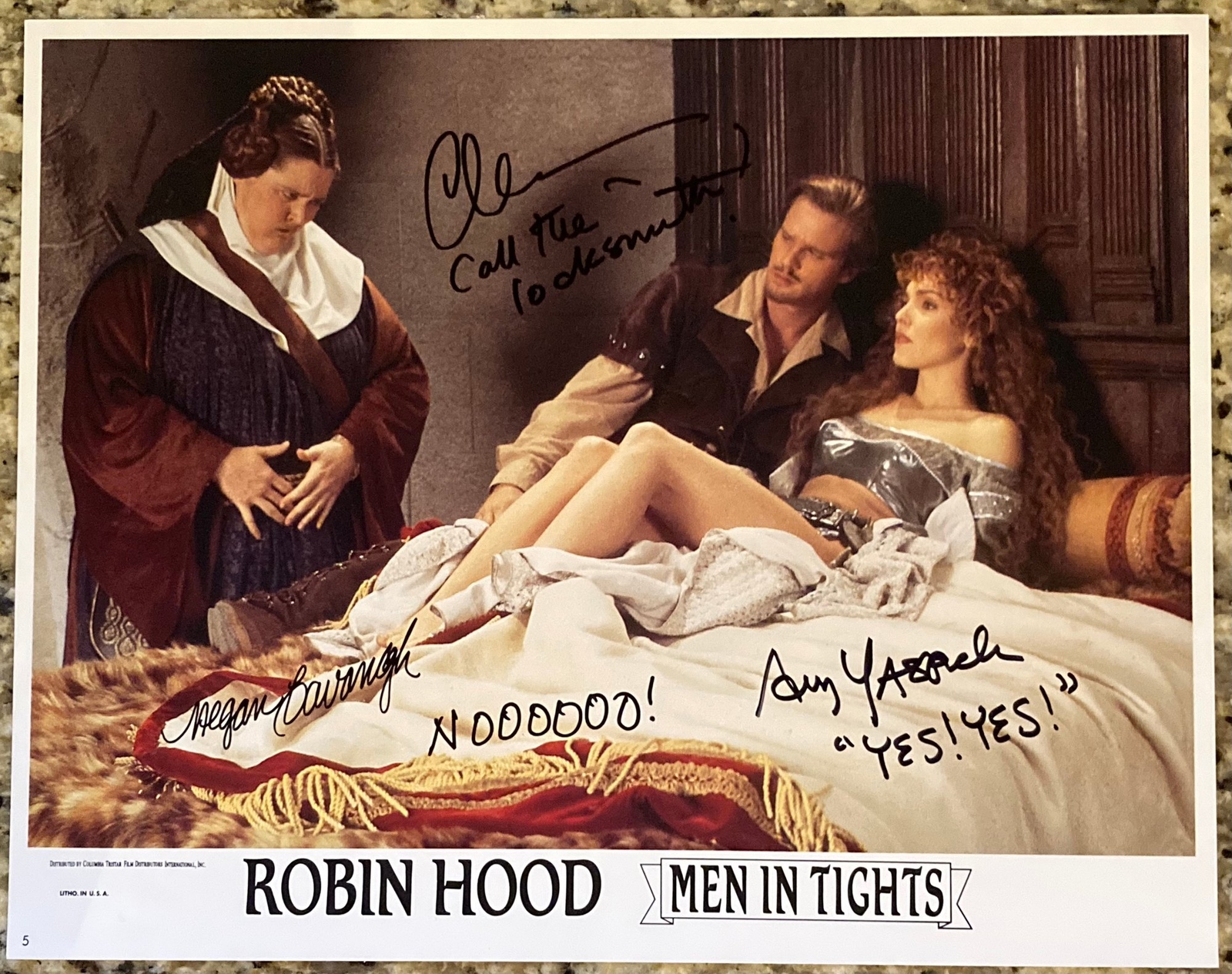 Robin Hood: Men in Tights