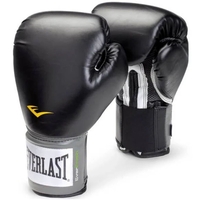 Everlast Boxing Glove