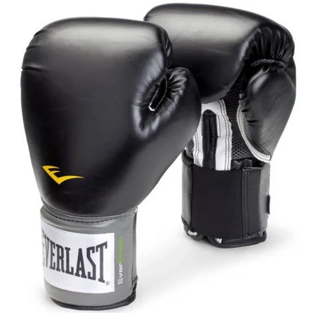 Everlast Boxing Glove