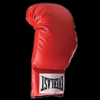 Everlast Red Boxing Glove