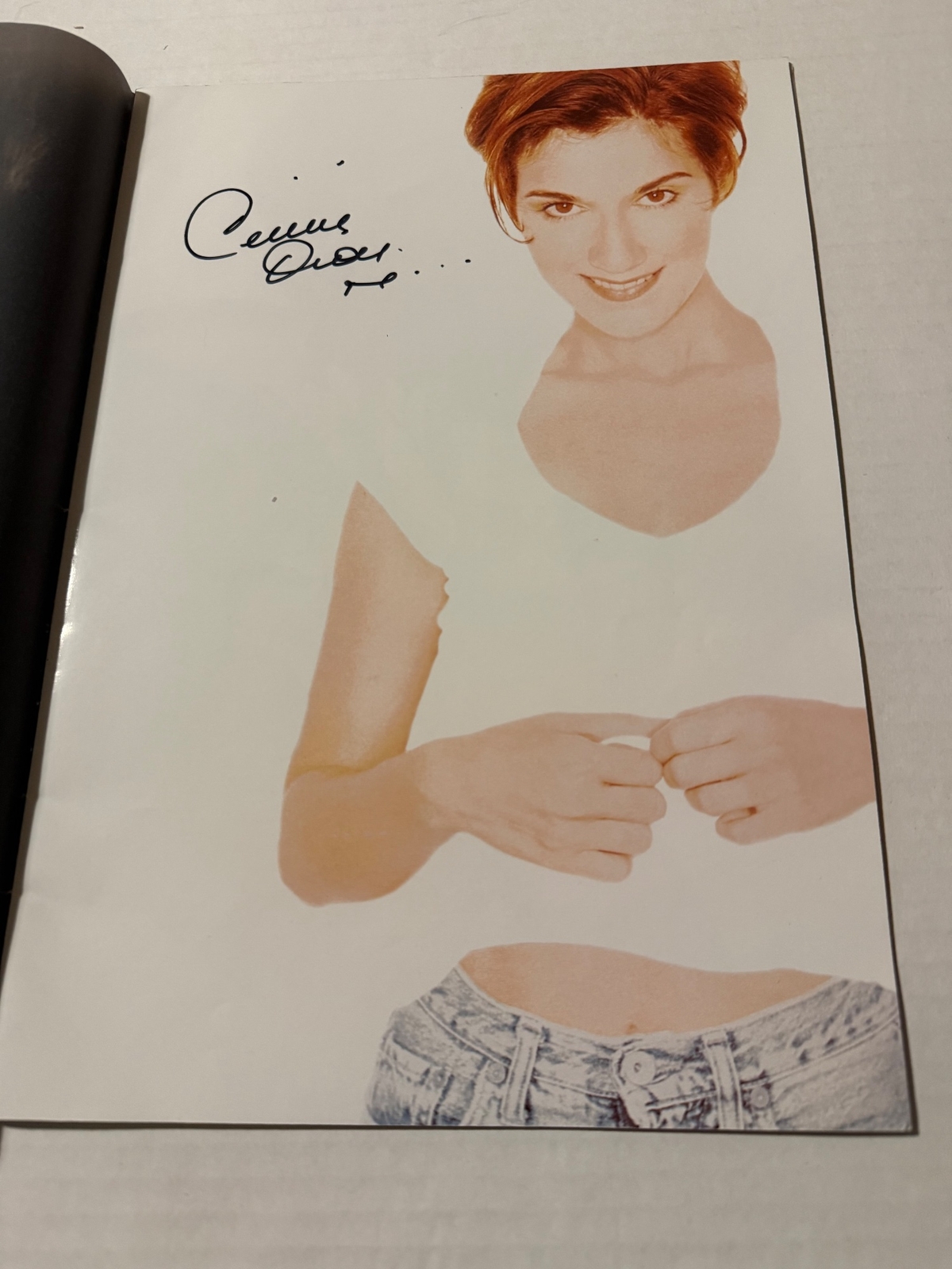 Celine Dion - Falling Into You Programme. Signed by Celine Dion.