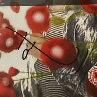 The work of Director - Anton Corbijn DVD. Signed by Anton Corbijn and booklet also signed by Anton Corbijn and personalised to Nigel.