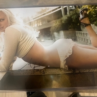 Anna Faris signed item