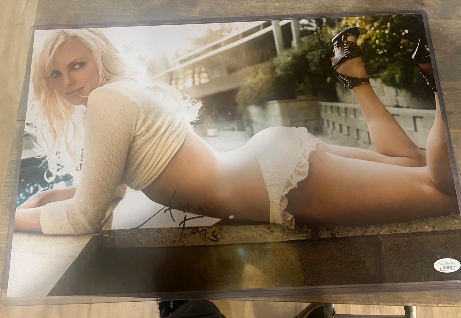 Anna Faris signed item