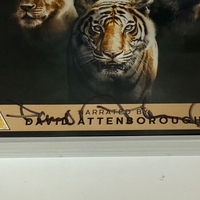 Dynasties - The Greatest of Their Kind DVD. Signed by David Attenborough.