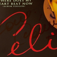 Celine Dion - Think Twice CD. Signed by Celine Dion