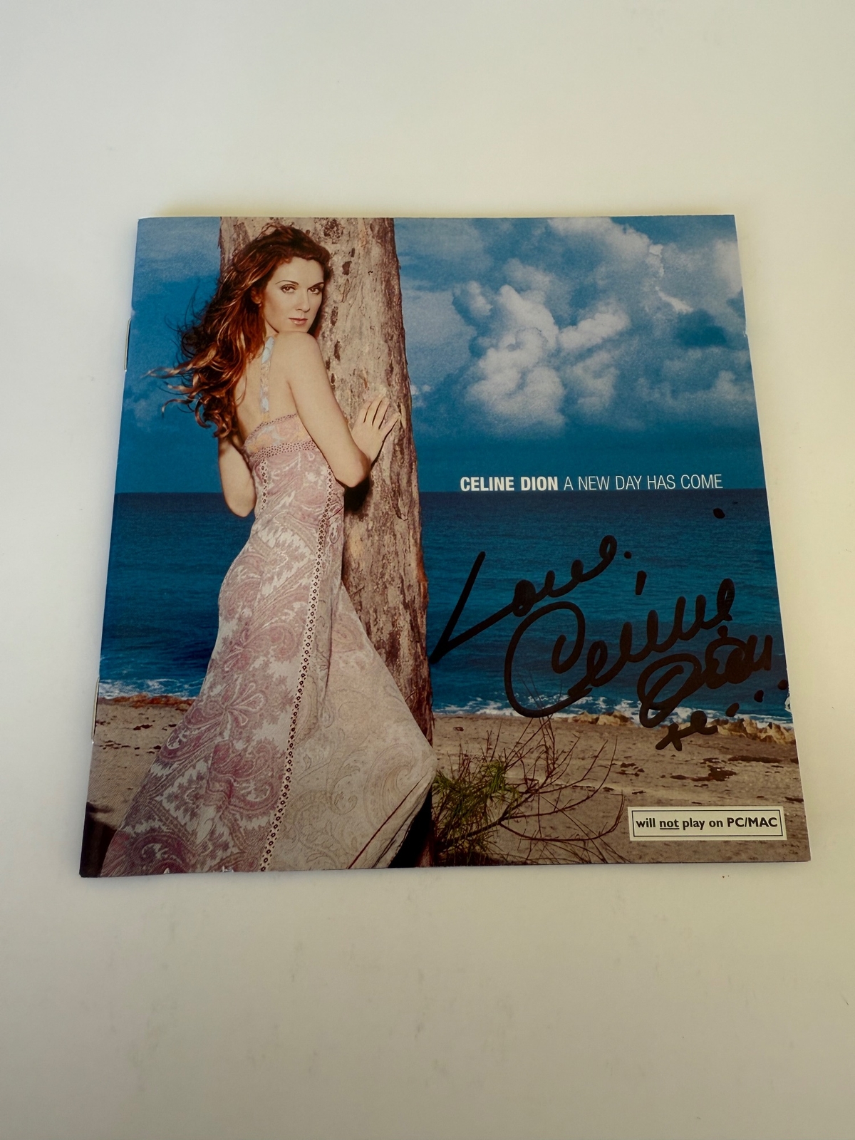 Celine Dion - A New Day has Come CD booklet