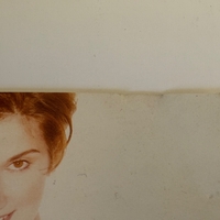 Celine Dion - Falling into you signed CD booklet (slight damage)