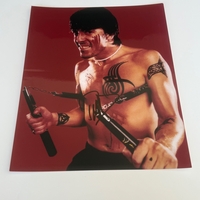 Dave Grohl signed photograph