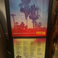 Dogstar signed vinyl record